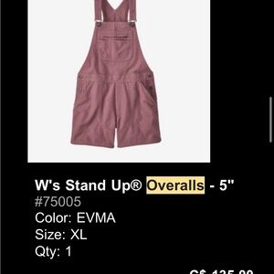 Patagonia Standup Overalls